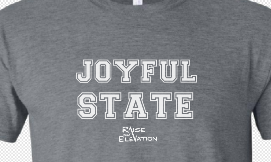 Joyful State T-shirt