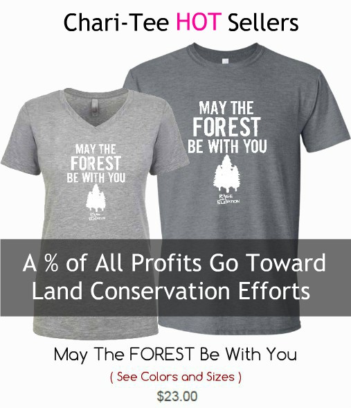 May The Forest Be With You Tshirt