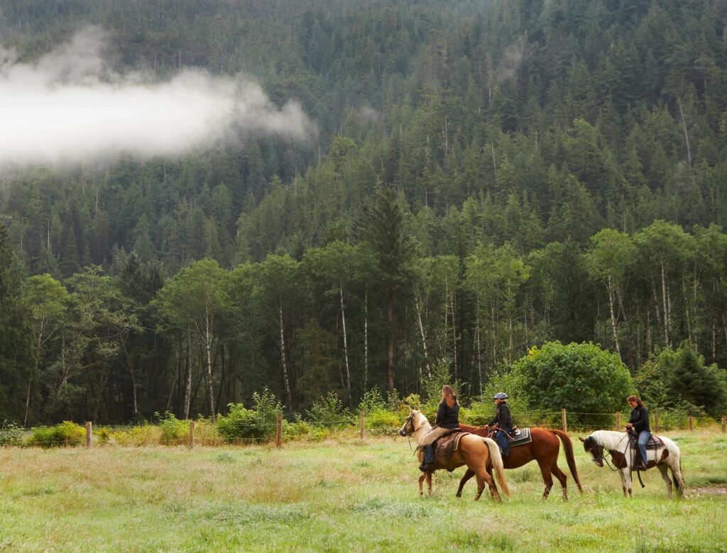 Horseback riding in Asheville NC