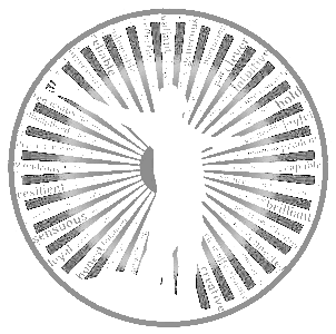 Raise Your Elevation Logo